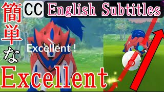軌道解説！ザマゼンタ Excellent エクセレントスローを簡単に出す方法・投げ方