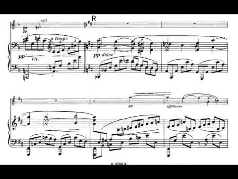 Karol Szymanowski - Violin Sonata in D minor, Op. 9 (1904) [Score-Video]
