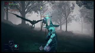 【ELDEN RING NIGHTREIGN】2人で実況プレイ！