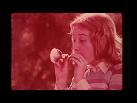 Wham O Superelasticbubbleplastic