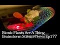 Bionic Plants Are A Thing (Brainstorm Ep177) 