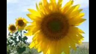 Punto de partida - Rocio Jurado