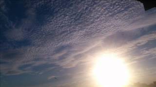 mann und frau BLUTSTURZ (lyrics by gottfried benn)