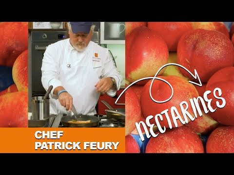 download lagu mp3 mp4 Do You Have To Cook Nectarines For Babies, download lagu Do You Have To Cook Nectarines For Babies gratis, unduh video klip Do You Have To Cook Nectarines For Babies