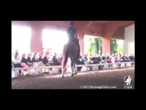 Contact during Warm up Demonatrated by Steffen Peters