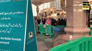 Umrah di Masa Pandemi Episode 5 : Kegiatan di Madinah