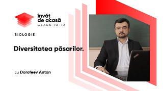  "Diversitatea păsarilor"