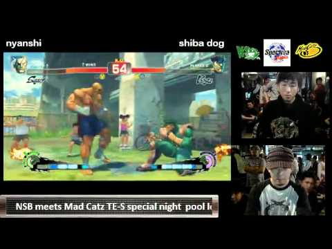 Nyanshi, Eita, Kindevu vs kyan, shiba dog, Chiba - NSB X Mad Catz