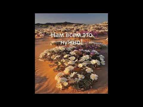 Аве Мария на арамейском языке