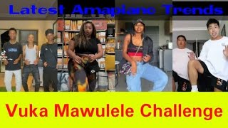 Vuka Mawulele Tik Tok Challenge||Latest Of TikTok Amapiano Trends February 2023