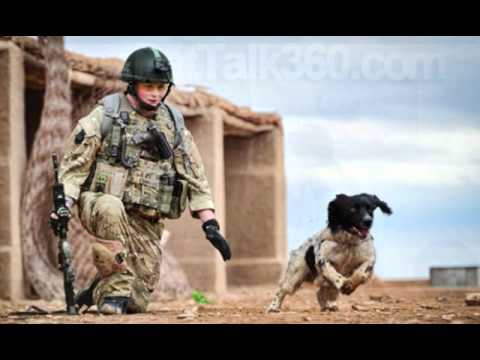 Taliban killing dogs