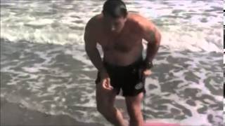 SHARK ATTACK - SPLIT ENZ