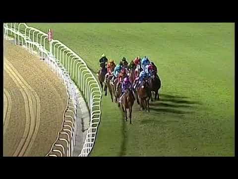 2018.07.28 Champions Cup (RSA) - Captain America