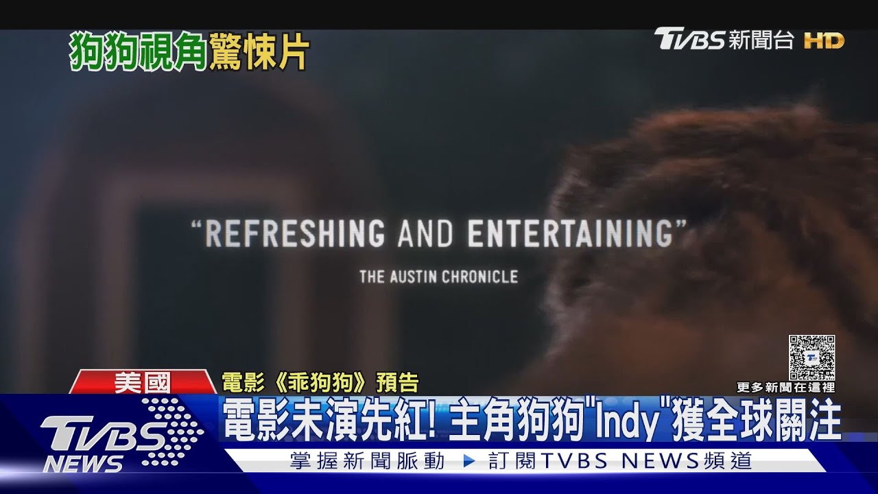 小狗視角感受恐懼!恐怖片《乖狗狗》全球暴紅 導演跟拍愛犬400天
