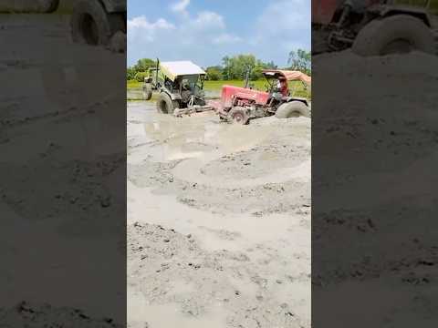 #tractorslovers #5015