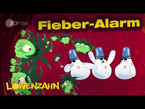 Wieso bekommst du Fieber? - Löwenzahn - ZDFtivi