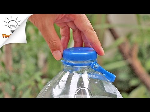 6 Plastic Bottle Life Hacks You Should Know