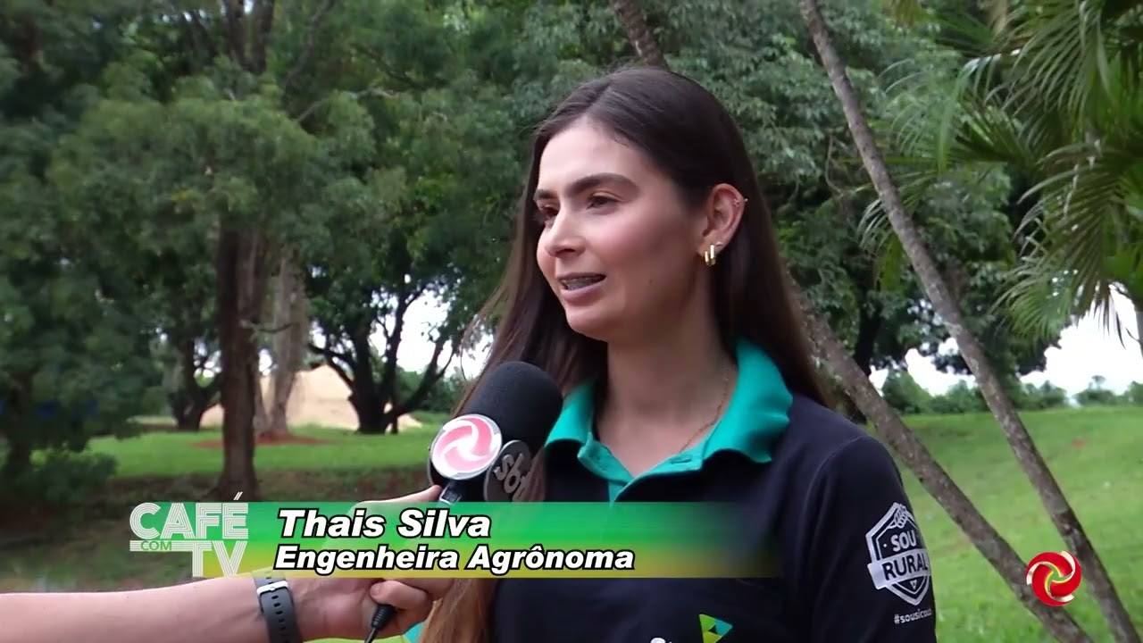 Viticultura ganha força no Sul de Minas