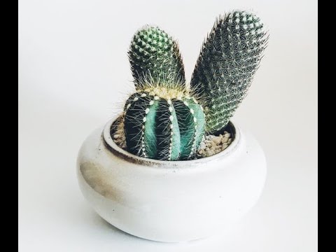 2021.09.12 Seattle Unity Sunday Service