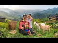Experiencing goat herding on lush green pastures with the Cu Bon family. Genuine maternal love.
