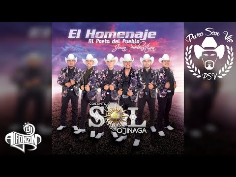 Conjunto Sol de Ojinaga - Huapango Sangoloteadito ♪ 2017