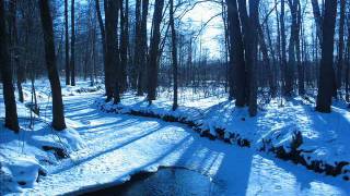 Insomnium -  Lay of The Autumn