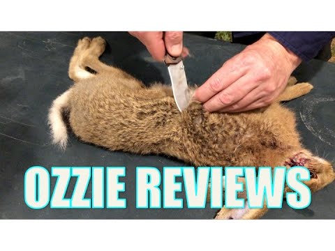 How to Skin & Butcher a Rabbit / Hare for the Table