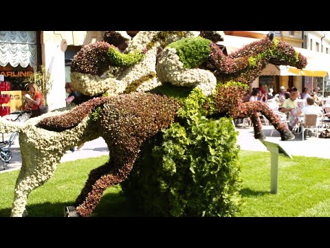 Ippodromo di Merano 18.06.2022