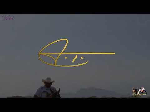 De lo Limpio Sale un Tigre Villamil Torres El Cantante Coleador