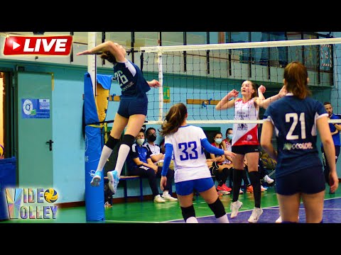 Pallavolo U15F - Napocolor DVB  vs  Polisportiva di Nova - diretta streaming