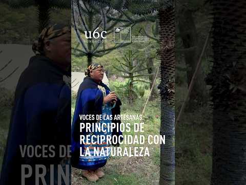 Rosa Meliñir Cayuqueo - sector de Pedregoso, Lonquimay  (Región de La Araucanía)
