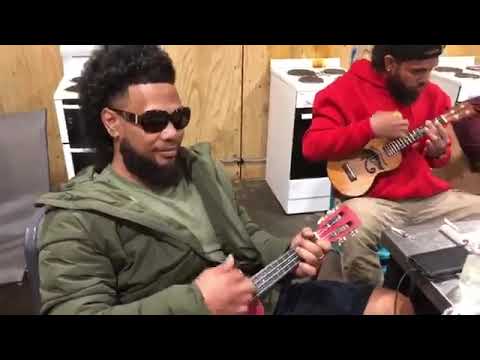 kalapu talipaea - le'o e fuiva