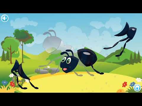 ABC Phonics with Animals Puzzl Video