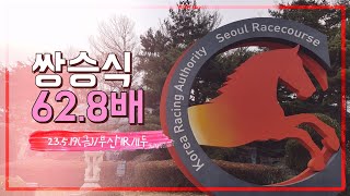 [적벽경마] 23년5월19일 부산1경주 쌍승식 62.8배