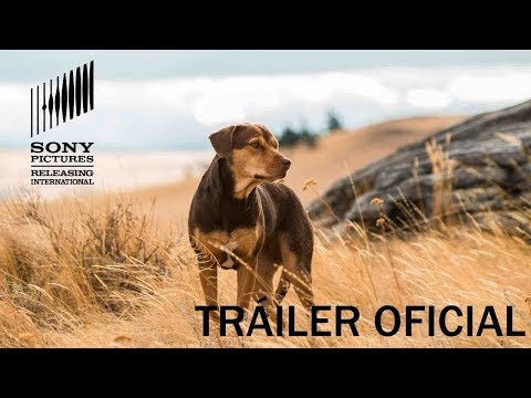 Trailer Latino