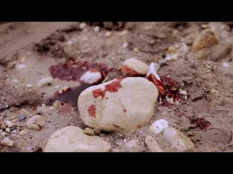 The Carpenter | Short Film