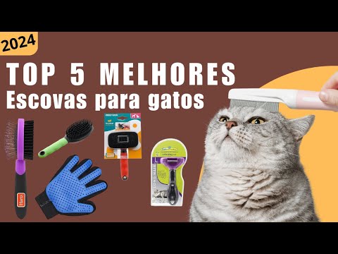 Top 5 Melhores Escovas Para Gatos de 2024