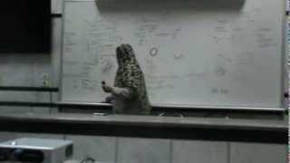 Dr.Sahar - Bacterial Infection 2 - Pathology