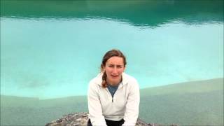 Somewhere There's A Forest