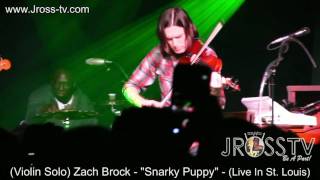 James Ross @ (Violinist) Zack Brock - 