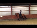 Dressage training on matthi, happy new year 