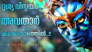 ബ്രഹ്മാണ്ഡ ചിത്രം..!! | Avatar (2009) Movie Explained In Malayalam | The Dark Storyteller