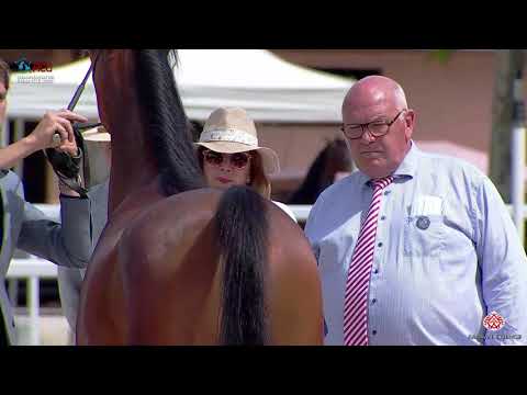 N 5 HIMANY   2020 Vichy   Championnat de France du Cheval Arabe   Yearling Fillies Championship Clas