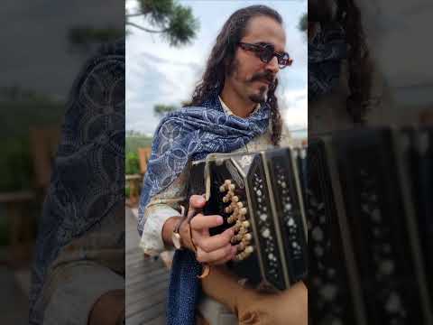 La valse perdu - bandoneon   #bandoneon #valse