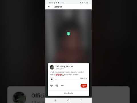 12 Flowz audio (Big_9Torch8 Exclusive)