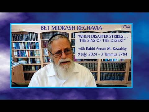 Bet Midrash Rechavia - When Disaster Strikes… The Sins of the Desert
