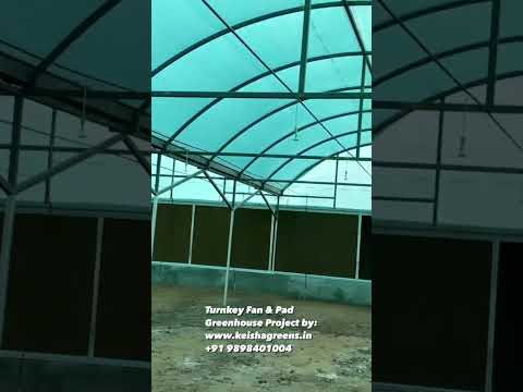 Video Gallery