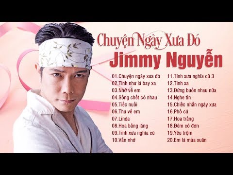 LK JIMMY NGUYỄN - TÌNH NHƯ LÁ BAY XA - 20 CA KHÚC NHẠC TRẺ THẬP NIÊN 2000 SẦU NHẤT QUẢ ĐẤT