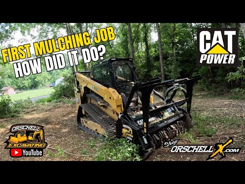First time using the Caterpillar 275 CTL Skid Loader with CAT HM316 Mulching Head. How did it do?