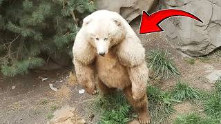 Top 10 Animals Scientists Created Against Nature And Instantly Regretted!